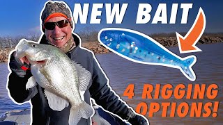 4 Epic Ways to Rig Bobby Garlands NEW Crappie Bait Live RoamR [upl. by Amandie]