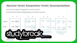 Absoluter Vorteil Komparativer Vorteil Gesamtproduktion  Volkswirtschaftslehre [upl. by Sedgewick]