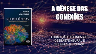 A Gênese das Conexões [upl. by Kaasi]