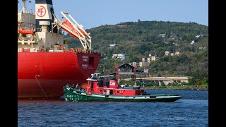 Listen to this TugShip Chat The Federal Yukon arrives Duluth get the Industry Info on the Chat [upl. by Yllen70]