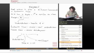 quotEnzymesquot  Biochemistry with Educatorcom [upl. by Tamaru]