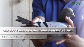 COLUMBOFILIA  VENCEDOR CLÁSSICA NACIONAL BARCELONA 2021  VISITAR E VIVER PAÇOS DE FERREIRA [upl. by Ahsienroc]