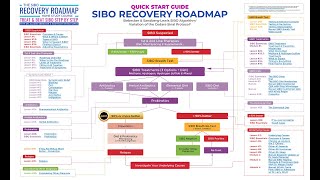 The SIBO Recovery Roadmap® Course [upl. by Jena]