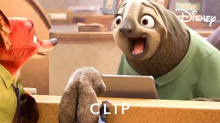 Flash The Sloth  Zootropolis  Disney UK [upl. by Conard262]