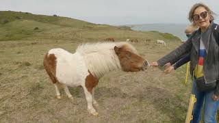 Beachy Head Eastbourne [upl. by Martine355]