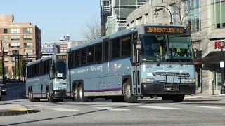 CCTGRTA 200406 MCI D4500 D4500CL Route 10A 101 amp 431 Buses 6072 6075 5002 at W Peachtree St [upl. by Arihk]