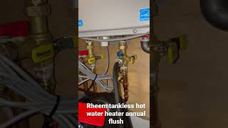 Rheem tankless hot water heater annual flush [upl. by Karim]