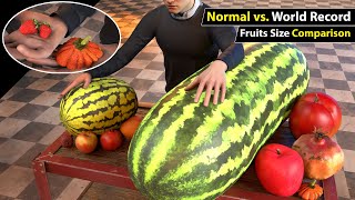 Unbelievable Fruit Size Comparison Normal vs World Record [upl. by Armallas]