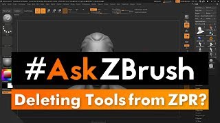 AskZBrush “How can I delete Tools that are no longer needed when saving a ZPR file” [upl. by Tripp]