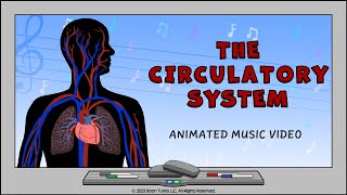 Circulatory System  How The Heart Works  Animated Music Video [upl. by Marina]