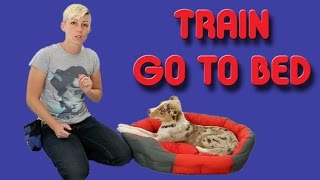 The EASIEST way to train your puppy to go to his bed  Dog training [upl. by Voe469]