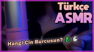 Türkçe ASMR  12 Çin Burcu  Hangi Hayvansın 🐅🐖 [upl. by Lecia]