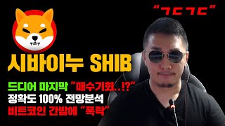 시바이누 SHIB 긴급 드디어 quot때가 온건가quot 정확도 100 전망분석 비트코인 간밤에 quot폭락quot 도미넌스 하락 시작 코인시황 [upl. by Oika]