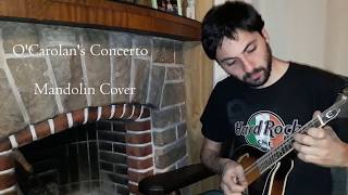 OCarolans Concerto Mandolin Cover by Giuliano Ferrace [upl. by Phip642]