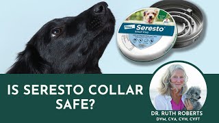 The Truth About Flea Control and Seresto Collars  A MustKnow Guide for Pet Owners [upl. by Naitsabes]