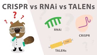 Gene Silencing Methods CRISPR vs TALENs vs RNAi [upl. by Lipp]