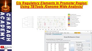 Cis Regulatory Elements In Promoter Region Using TBTools Genome Wide Analysis [upl. by Tallulah]