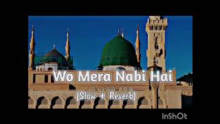 Wo Mera Nabi hai new naat sharif trending viral video ❤️❤️🇵🇰🇵🇰🇵🇰🇵🇰❤️❤️❤️❤️ [upl. by Harmony912]