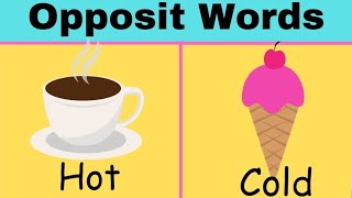 Opposite Words for Kids  Educational Video For Toddlers and Preschool  Children Learn Opposites [upl. by Nandor]