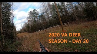 2020 VA DEER SEASONDAY 20DEER DOG DRIVES WITH THE HUNT CLUBNOT A DOE DAY SO DOES ARE EVERYWHERE [upl. by Phyllida]