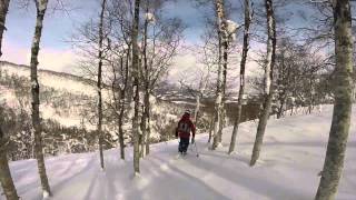 Skiing in Rusutsu Japan [upl. by Dnalevets541]