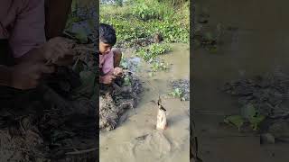 Amazing hook Fishing fishing fishingtipsandtechniques fishingmethods phonk music beats [upl. by Mchail182]