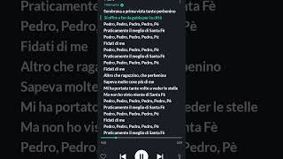 Pedro Pedro Pedro lyrics 🙂 [upl. by Eisac]