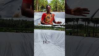 Coconut Farming with Pond Irrigation பண்ணைகுட்டை நீர்ப்பாசனத்துடன் தென்னை விவசாயம் shortsfeed [upl. by Swainson18]