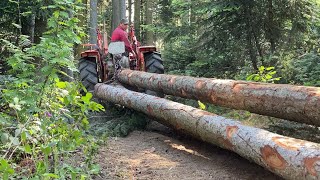 🌲Débardage et Abattage bois petit Matériel MR Boisnet [upl. by Lorita103]