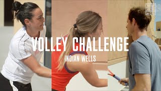 ATP amp WTA players take on the Tennis United Volley Challenge 💥 [upl. by Jago]