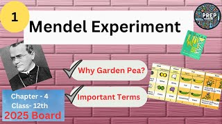 Mendel Experiment Trait  Allele  Genotype  Phenotype  Homozygous  Heterozygous  Ch4 [upl. by Ailicec]