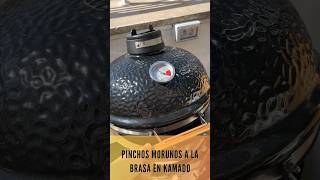 Pinchos Morunos a la Brasa 🔥 [upl. by Garibald]