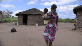 Maternal health report urges improved education and healthcare services for women [upl. by Eiralih31]