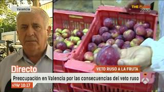 Preocupación por el veto ruso a la fruta en Valencia  Espejo Público [upl. by Shirlie380]