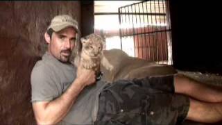 Kevin Richardson a very special Lioness amp her Cubs [upl. by Valli]