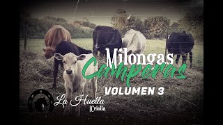 Milongas camperas para matear a las brasas volumen 3  compilado de milongas [upl. by Narud]