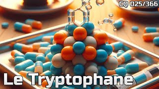 Acide Aminé 2  Le Tryptophane  CQ025 [upl. by Radnaxela944]