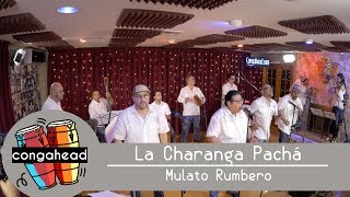 La Charanga Pachá performs Mulato Rumbero [upl. by Furiya]