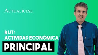 ¿Cómo determinar la actividad económica principal en el RUT [upl. by Brynna]