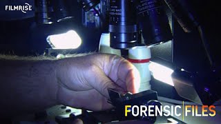 Forensic Files Season 11 Episode 19  No Safe Place  Full Episode [upl. by Aileon579]