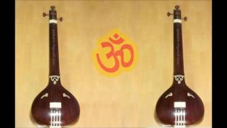 Tanpura E सफेदwhite 3 [upl. by Onailil]