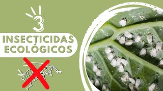 👉 3 POTENTES INSECTICIDAS QUE NO TE FALLARAN‼️Para HUERTO y JARDÍN [upl. by Irme29]