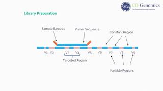 What Is 16s rRNA sequencing [upl. by Ytsud]