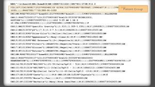 HL7 ORU Messages The Basics [upl. by Nap]