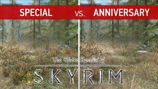 Elder Scrolls V Skyrim Comparison  Special Edition vs Anniversary Edition LastGen vs NextGen [upl. by Ennyletak]