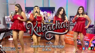 Grupo Kubachay  Lagrima por lagrima Dra Video Lyric [upl. by Yevreh]