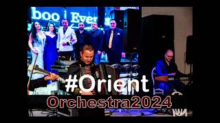 Hora tiganeasca la Braila originala acordeon vioara clarinetLiviu si Orient Orchestra live 2024 [upl. by Adnarb376]