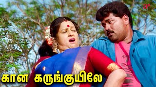 கான கருங்குயிலே  Gaana Karunkuyile HD Song  Sethu  Vikram  Abitha  Bala  Ilaiyaraaja [upl. by Gilliette548]