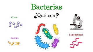 🦠 ¿Qué son las Bacterias 🦠 Fácil y Rápido  BIOLOGÍA [upl. by Ihcehcu]