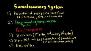 Schneid Guide to the Spinal Cord Somatosensory Sytem Pathways [upl. by Razal]